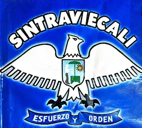 SINTRAVIECALI, Sindicato de Trabajadores de la Venta Informal Establecida de Cali